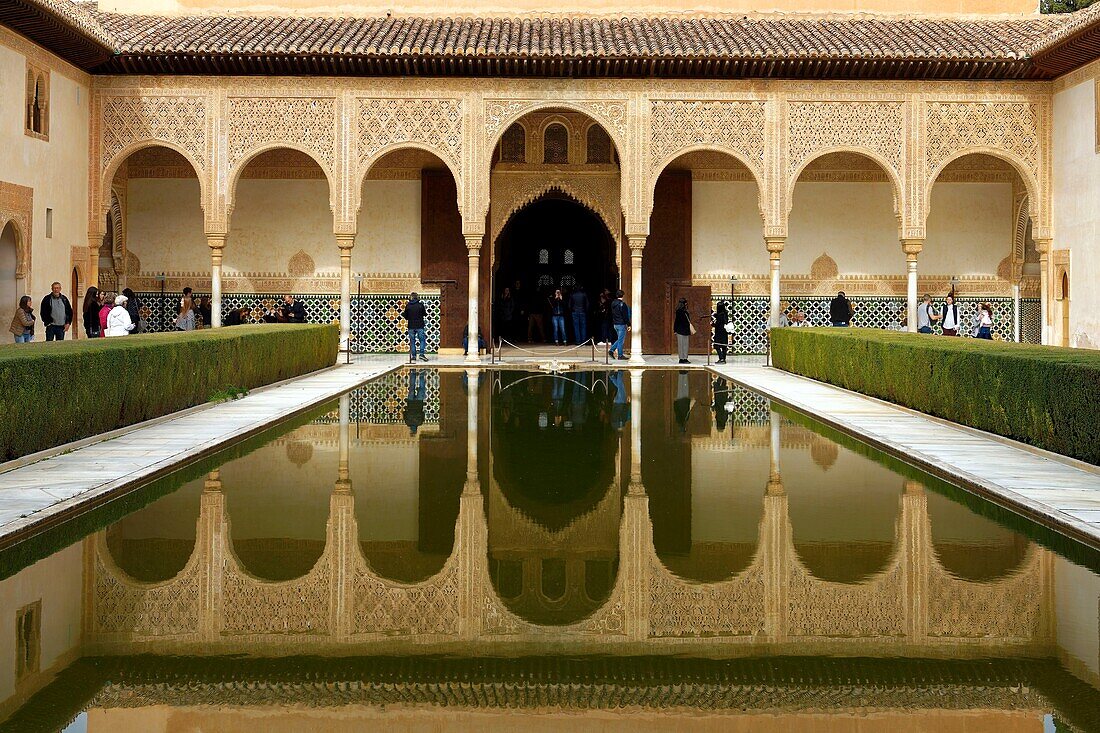 Spanien, Andalusien, Granada, Palast der Alhambra, von der UNESCO zum Weltkulturerbe erklärt, erbaut zwischen dem 13. und 14. Jahrhundert von der Nasriden-Dynastie, islamische Architektur, Palast der Nasriden-Dynastie, Patio de los Arrayanes