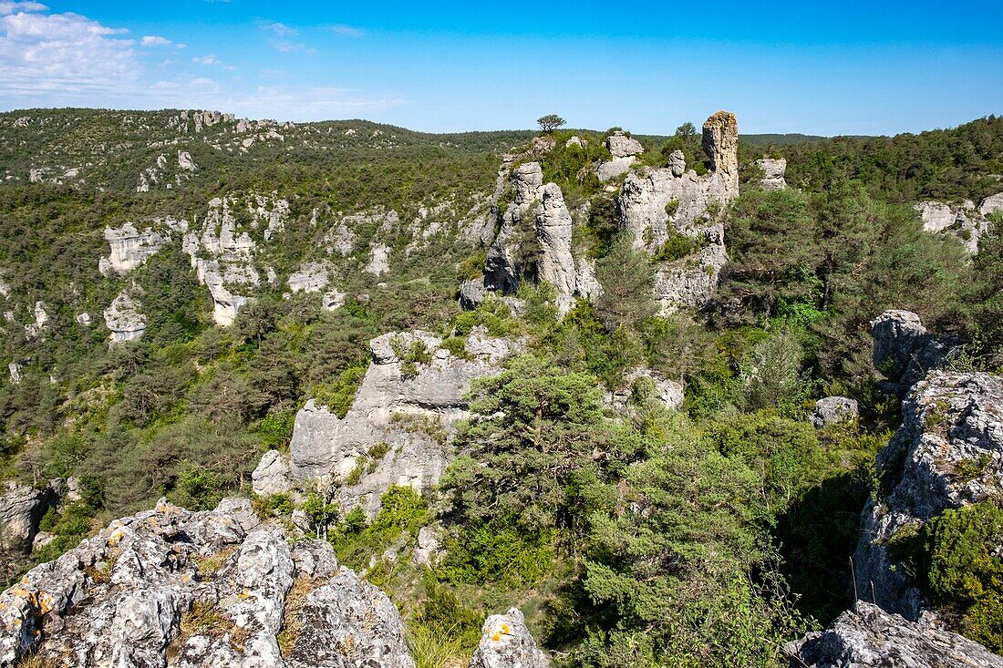 France, Cevennes national parc, Gorges de la Jonte, aerial view