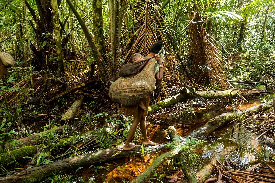 Indonesia, West Papua, Mabul, Korowai expedition