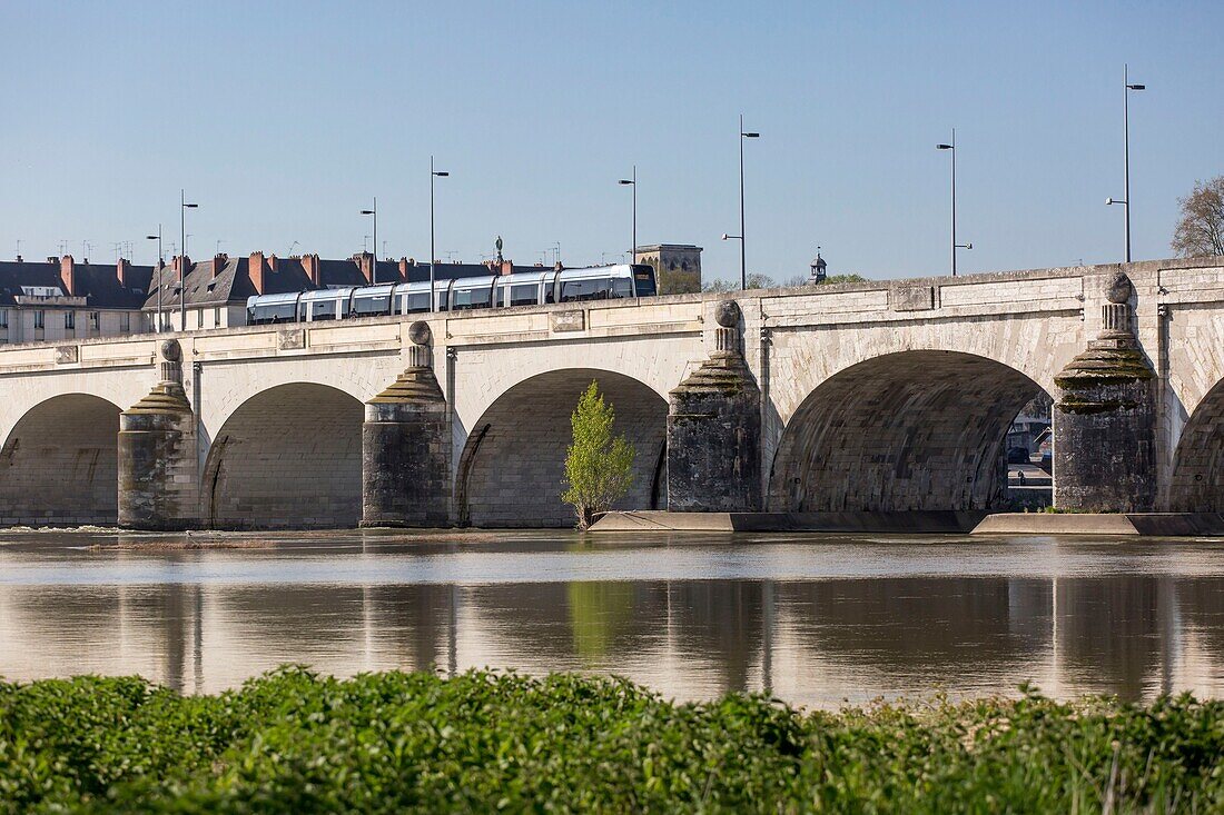 Frankreich, Indre et Loire, Loire-Tal als Weltkulturerbe der UNESCO, Tours, die Loire in Tours, Straßenbahn auf der Wilson-Brücke und Frühlingsvegetation auf den Loire-Inseln