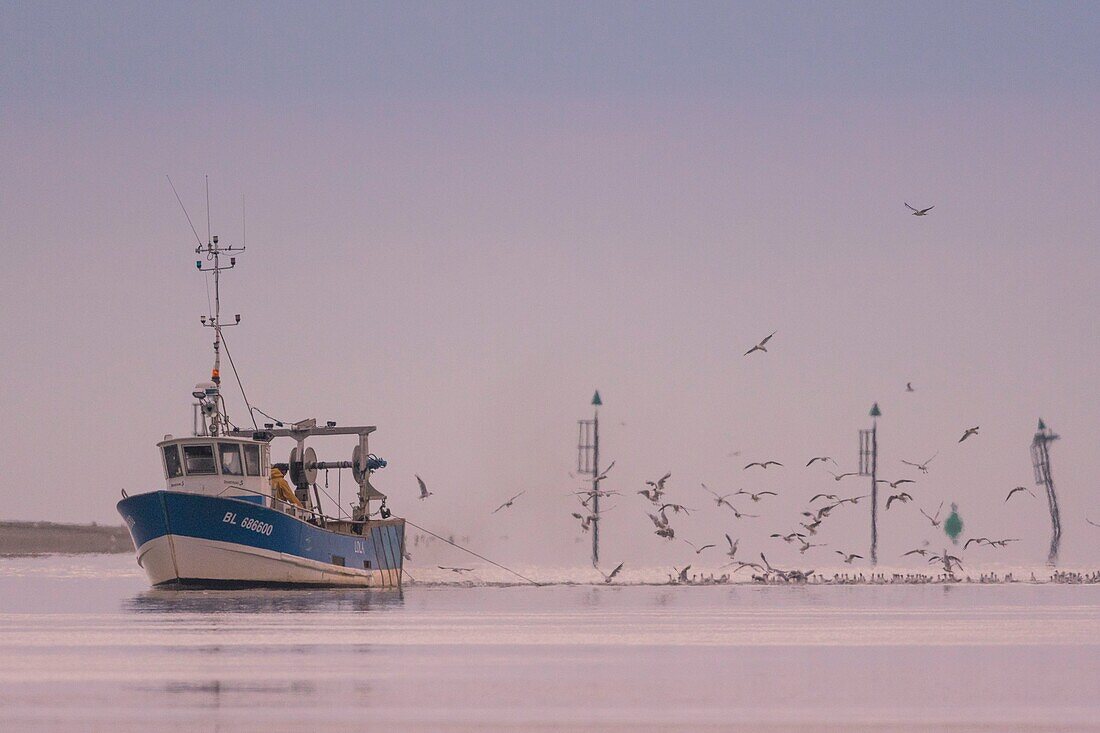 Frankreich, Somme, Baie de Somme, Saint-Valery-sur-Somme, Cap Hornu, Fischer im Somme-Kanal