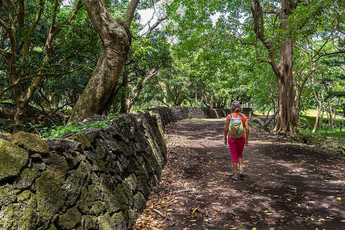 Mauritius, Bezirk Flacq, Nationalpark Bras d'Eau