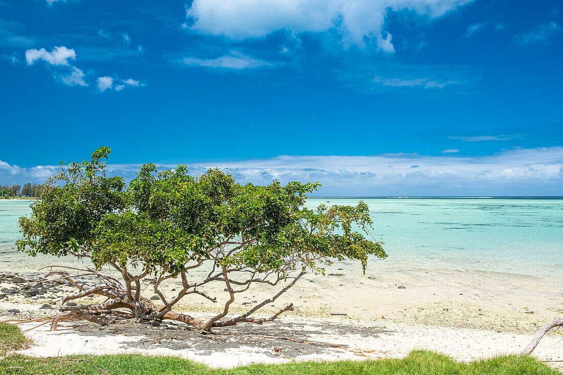 Mauritius, Bezirk Riviere Noire, Strand Prairie