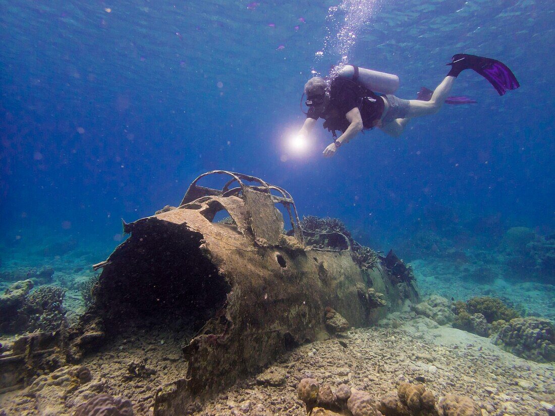 Papua New Guinea, Gazelle peninsula, New Britain island, East New Britain province, Rabaul, Kokopo, Diver on Zero fighter site