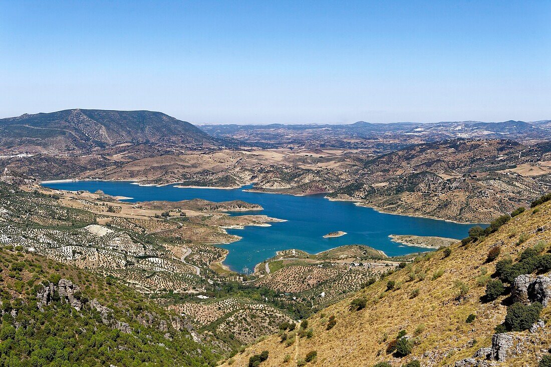 Spain, Andalusia, Cadix province, Zahara de la Sierra, Sierra de Grazalema Natural Parc, lake of Zahara-el Gastor dam