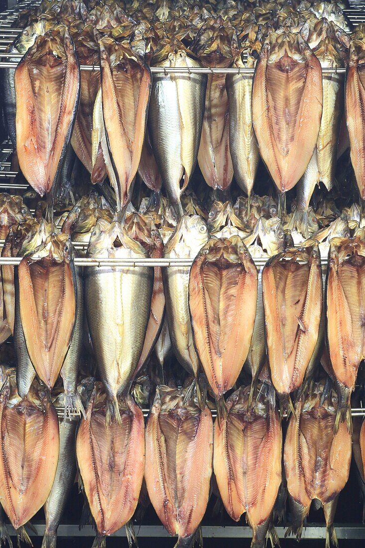 France, Pas de Calais, Boulogne sur Mer, Corrue & Deseille salting and smoking workshop, kipper fillets (also called red herring) in a smokehouse