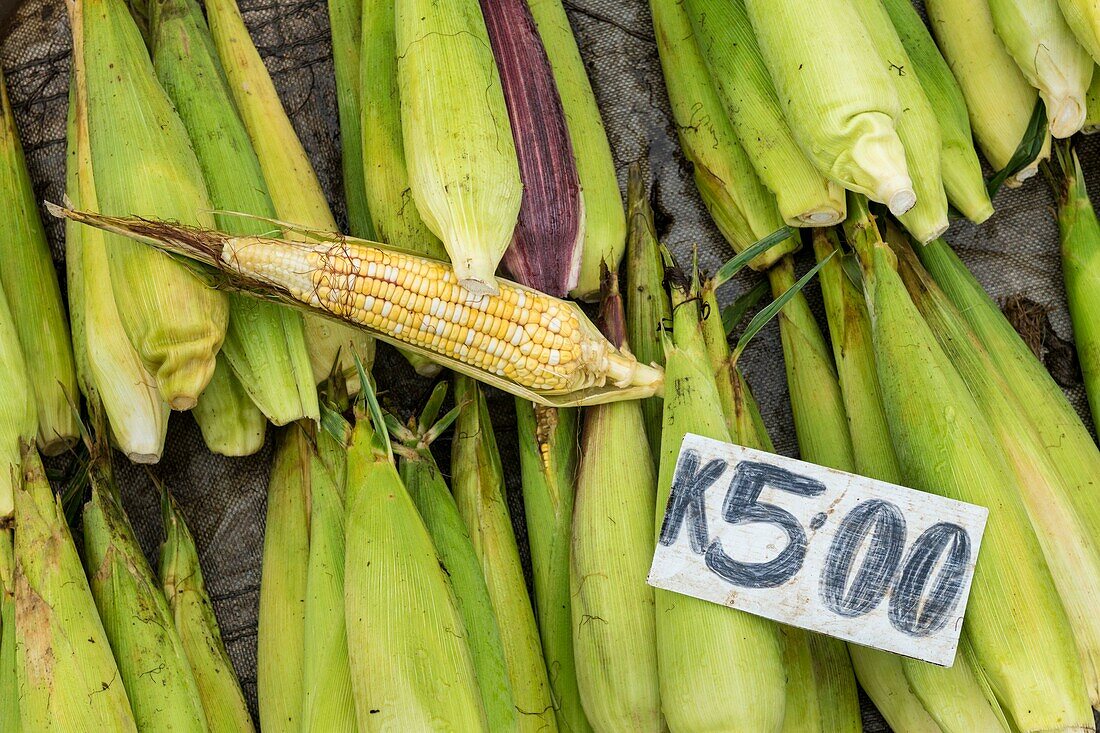 Papua New Guinea, National Capital District Province, Port Moresby, Koki District, Koki Market, corn