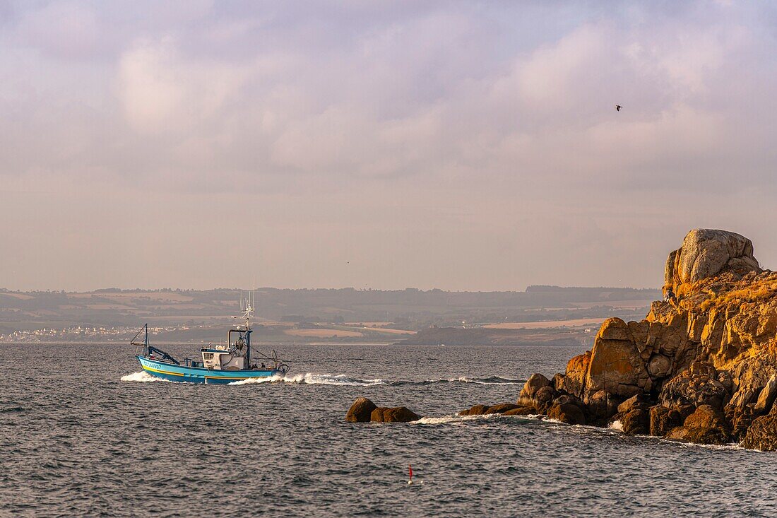 Frankreich, Finistère (29), Cornouaille, Douarnenez, Ausfahrt der Trawler in die Bucht