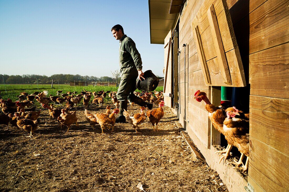 France, Essonne, Saclay plateau, Bievres, Charles Monville, organic poultry farmer