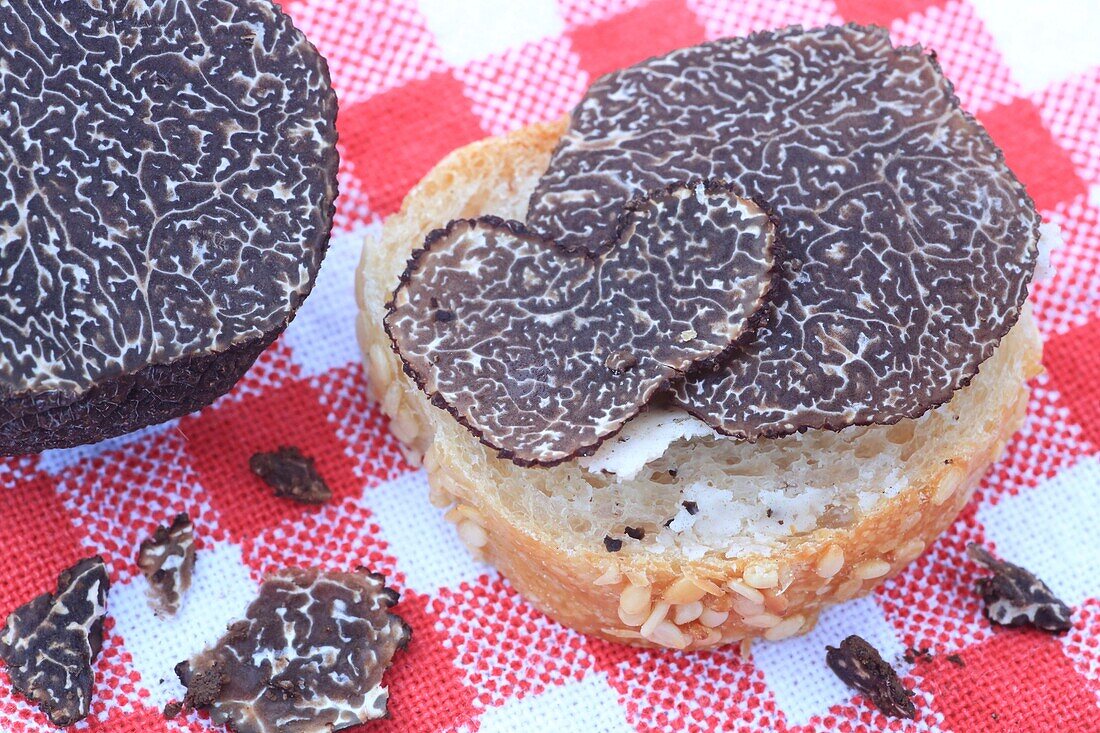 Frankreich, Correze, Causses, Scheiben von schwarzen Trüffeln (Tuber Melanosporum) mit Brot und Trüffelbutter