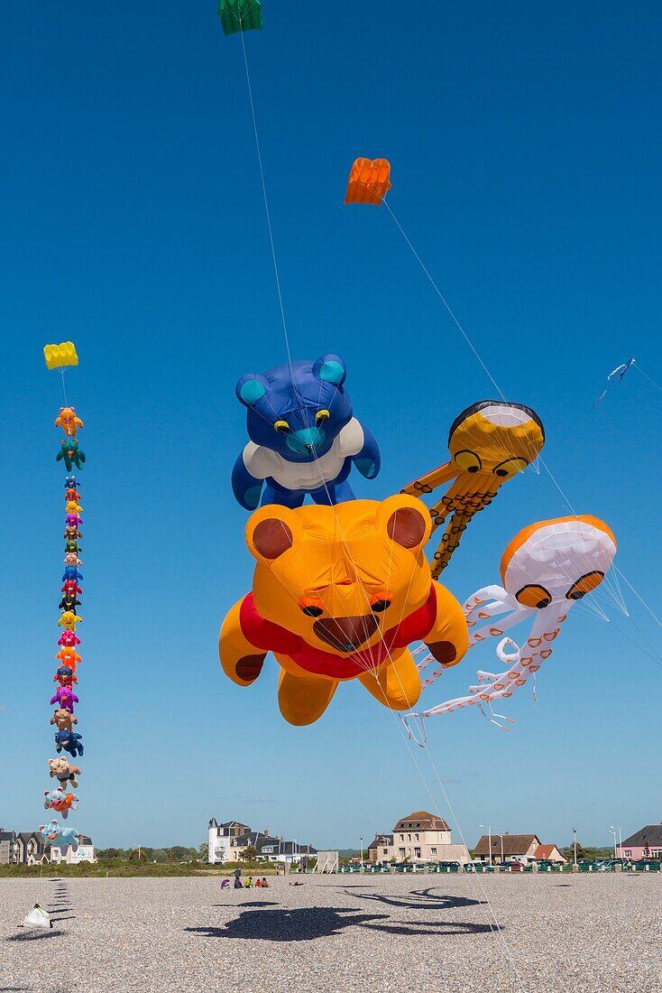 France, Somme, Baie de Somme, Cayeux-sur-mer, Festival of kites along the path of boards and beach huts