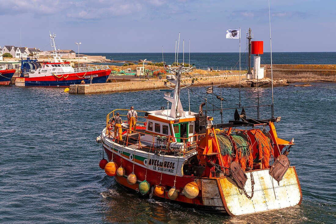 France, Finistere (29), Cornouaille, Le Guilvinec, first fishing port of France, the return of the trawlers to the port to unload the fish and sell it at the auction