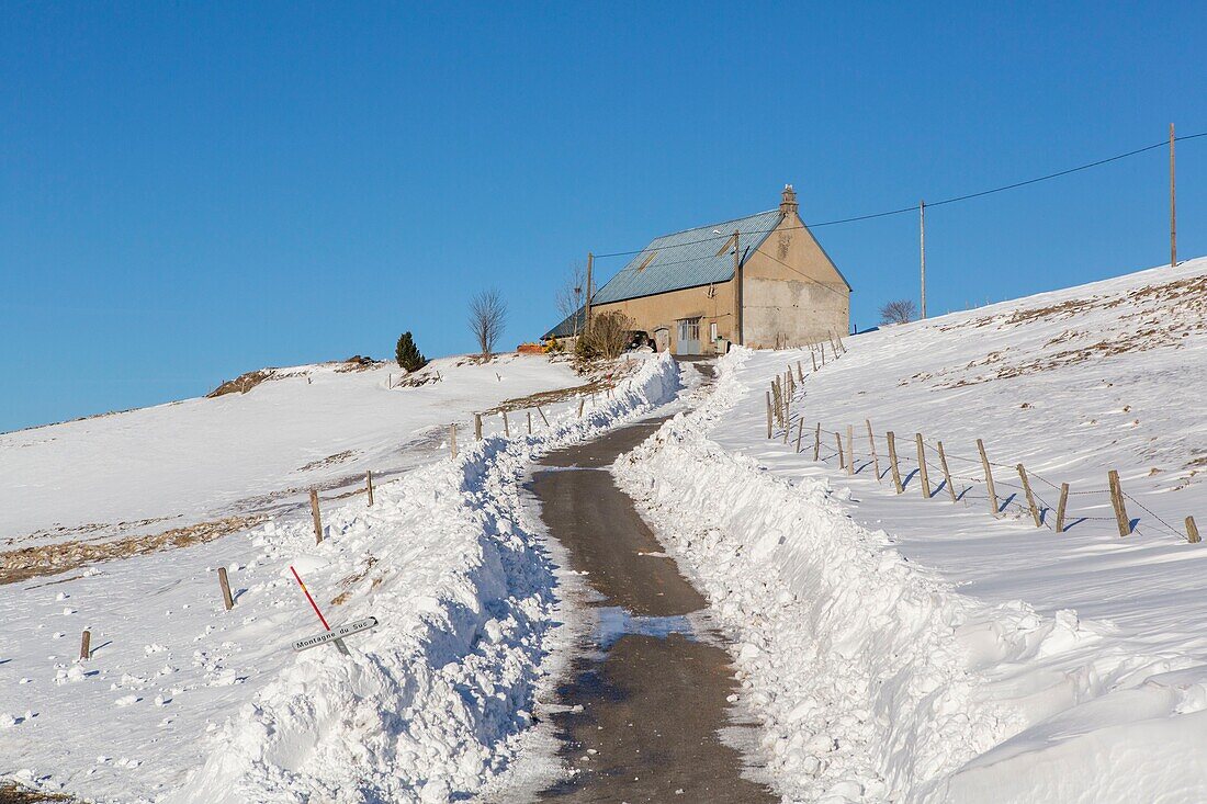 France, Puy-de-Dome, near La Godivelle, plateau of Cezallier landscape, Parc Naturel Regional des Volcans d'Auvergne (Regional natural park of the Volcans d'Auvergne)