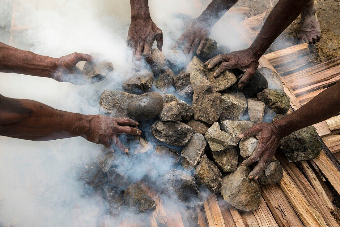 Papua-Neuguinea, Provinz Simbu, Dorf Kagaï, Vorbereitung eines traditionellen Festes namens Mumu, bei dem ein Schwein mit weißglühenden Steinen in eingegrabenen Bananenblättern geschmort wird