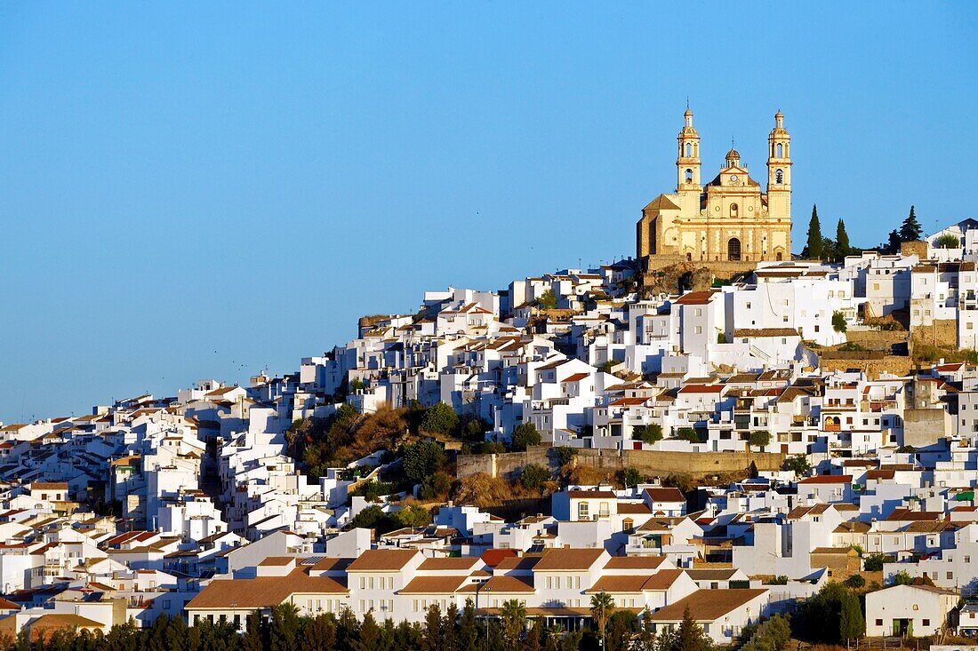 Spain, Andalucia, Cadiz province, white village of Olvera, the Church of Our Lady of the Incarnation