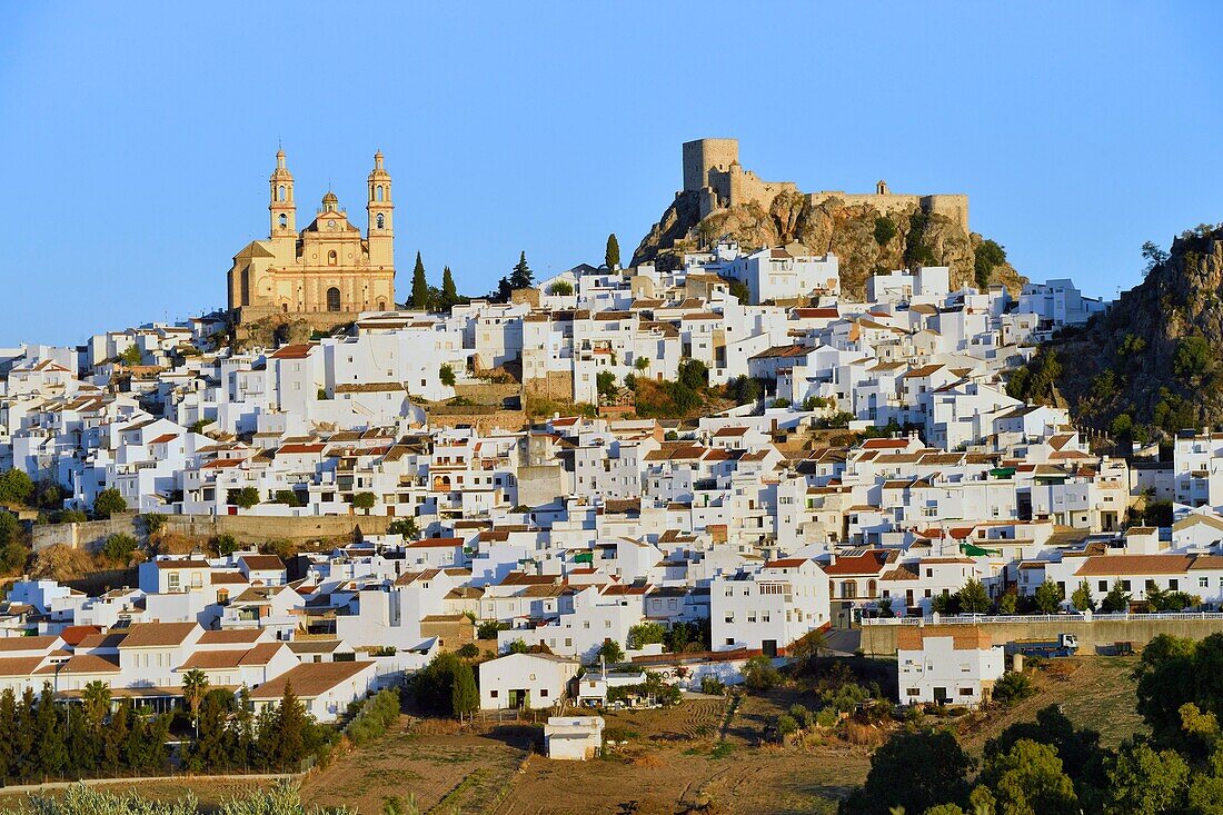 Spanien, Andalusien, Provinz Cádiz, weißes Dorf Olvera, die Kirche Unserer Lieben Frau von der Menschwerdung und die arabische Festung