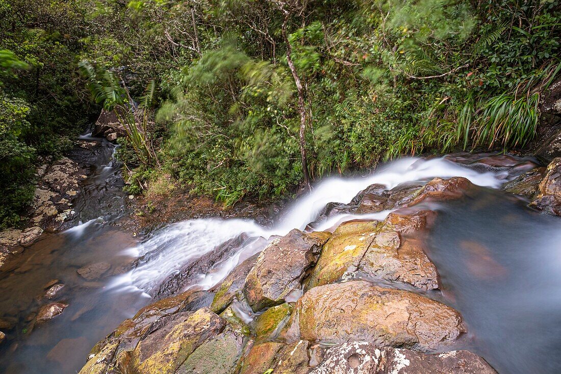 Mauritius, Bezirk Savanne, Nationalpark Black River Gorges, Alexandra-Wasserfälle