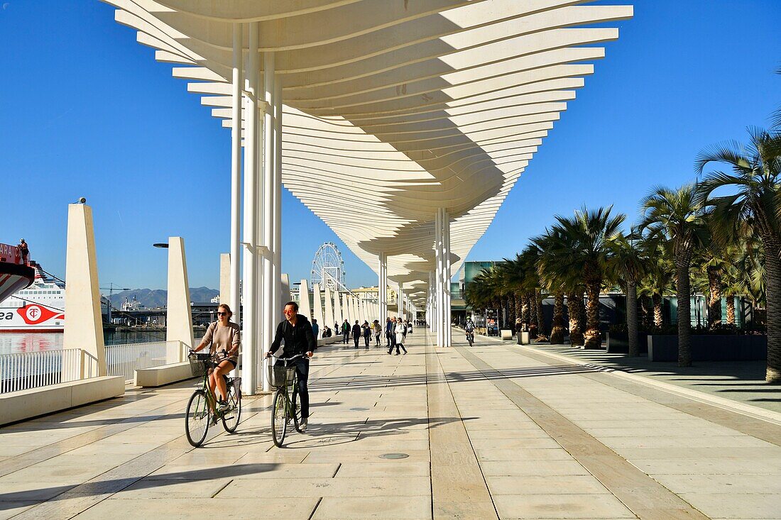 Spanien, Andalusien, Costa del Sol, Málaga, die Uferpromenade am Hafen, Palmeral de las Sorpresas