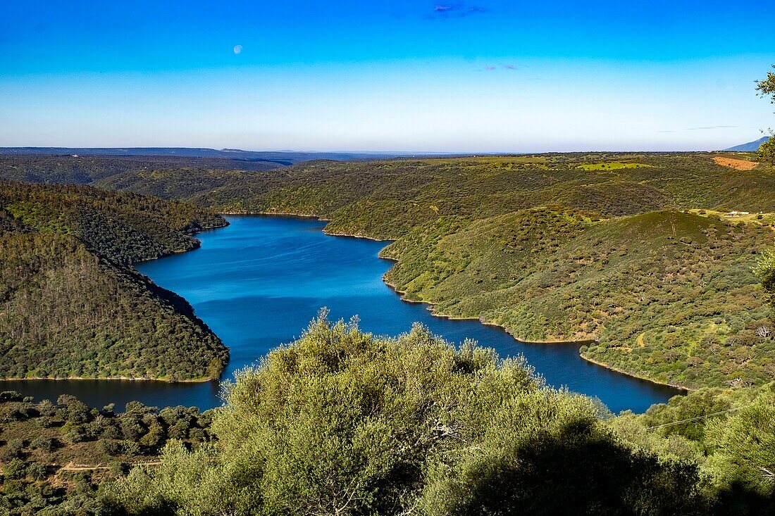 Spanien,Extremadura,Nationalpark Monfragüe,Embalse de Torrejon-Tajo