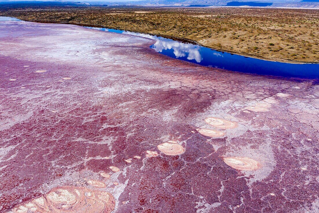 Kenya, lake Magadi, Rift valley, soda (aerial view)