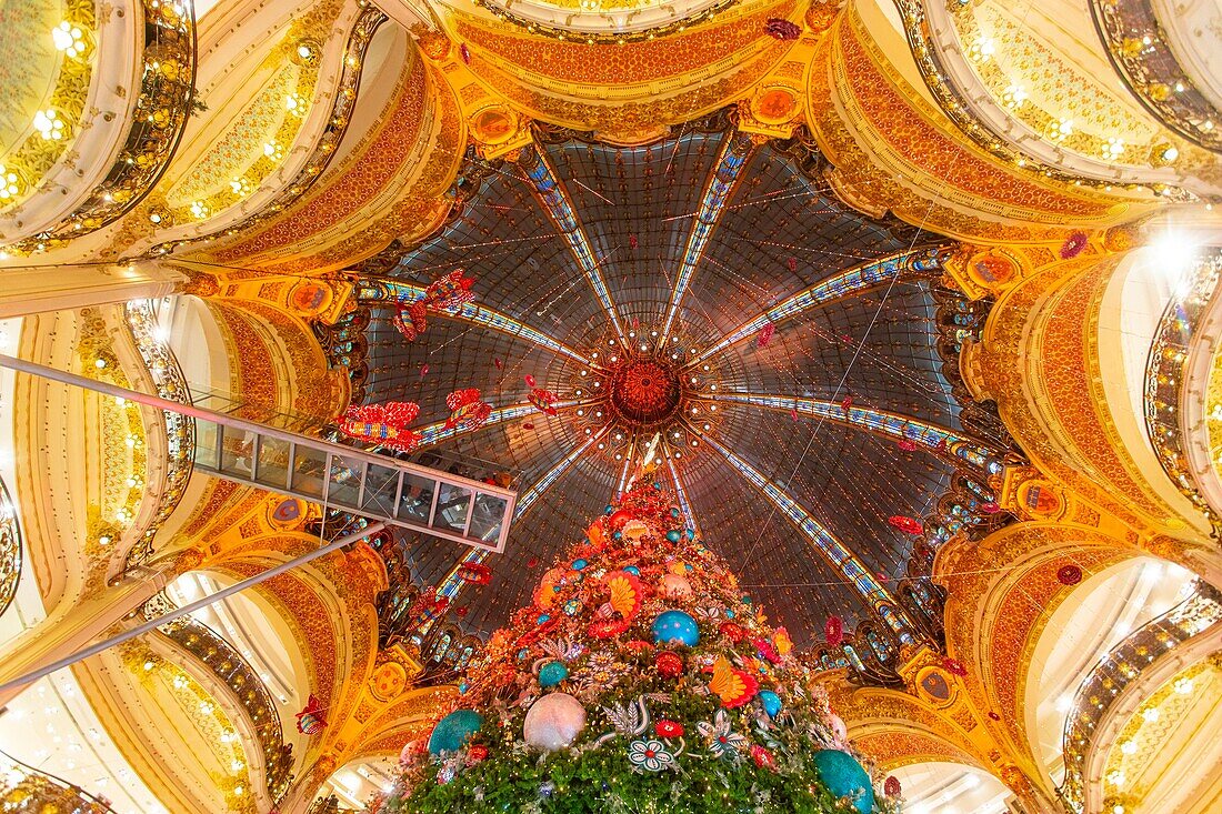 France, Paris, the Galeries Lafayette department store at Christmas, the Christmas tree under the dome