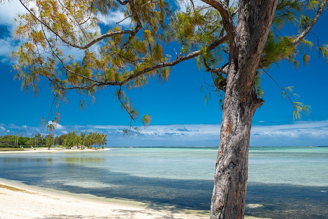 Mauritius, Riviere Noire district, Prairie beach