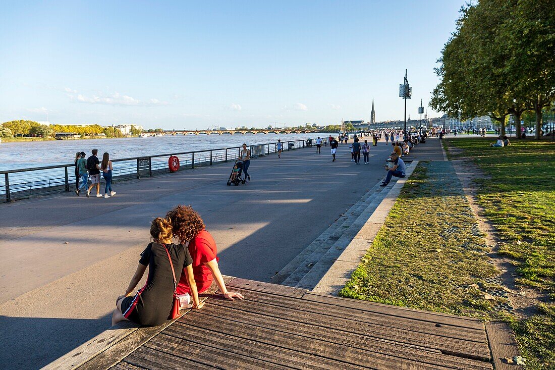 Frankreich,Gironde,Bordeaux,von der UNESCO zum Weltkulturerbe erklärtes Gebiet,Bordeaux,Quai Louis XVIII,Les Platanes du Quais