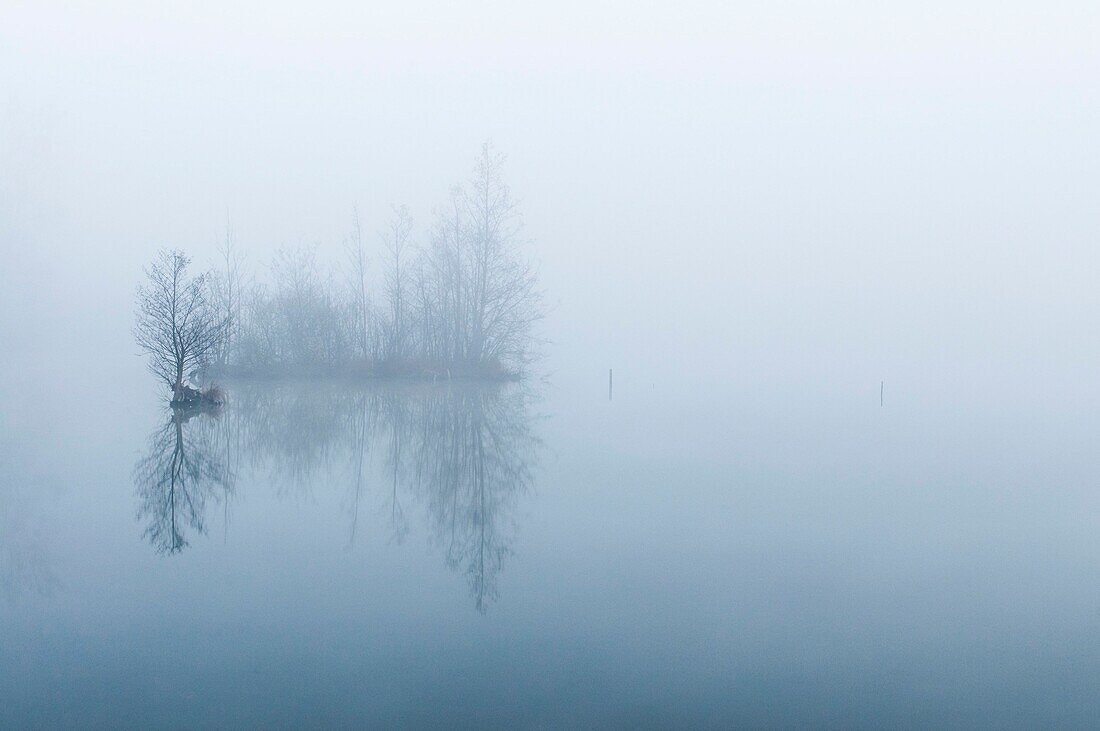 Frankreich,Somme,Somme-Tal,Longpré-les-Corps-Saints,Die Sümpfe der Somme im Nebel,der dichte Nebel verwandelt die Bäume in geisterhafte Silhouetten