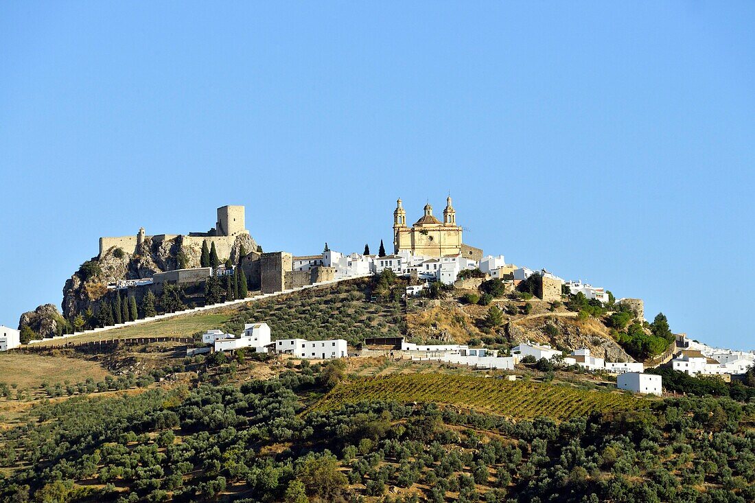 Spanien,Andalusien,Provinz Cádiz,weißes Dorf Olvera,die Kirche Unserer Lieben Frau von der Menschwerdung und die arabische Festung