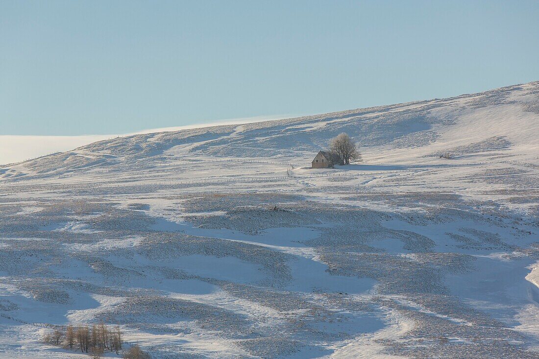 France, Puy-de-Dome, near La Godivelle, plateau of Cezallier landscape, Parc Naturel Regional des Volcans d'Auvergne (Regional natural park of the Volcans d'Auvergne)