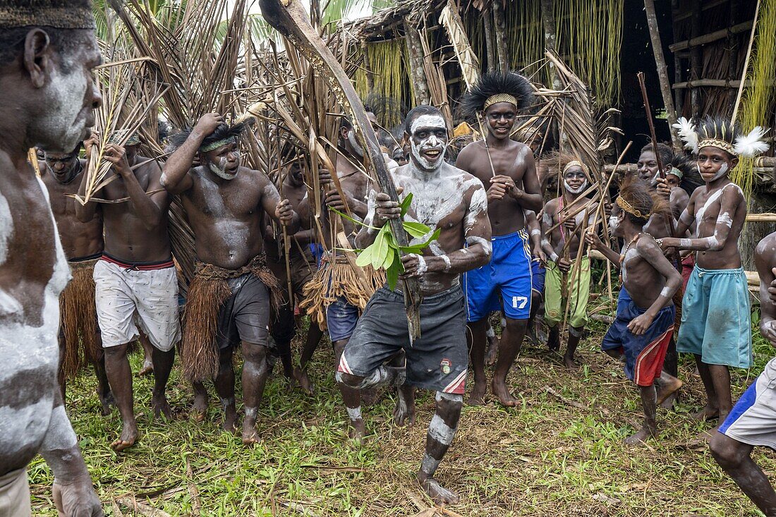 Indonesia, Papua, Asmat district, Per village, pole ceremony