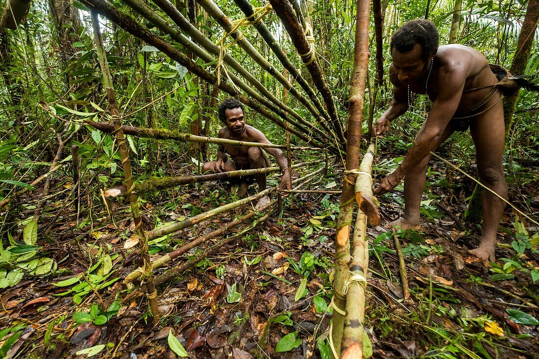 Indonesien,West Papua,Mabul,Korowai-Expedition,Herstellung einer Wildschweinfalle