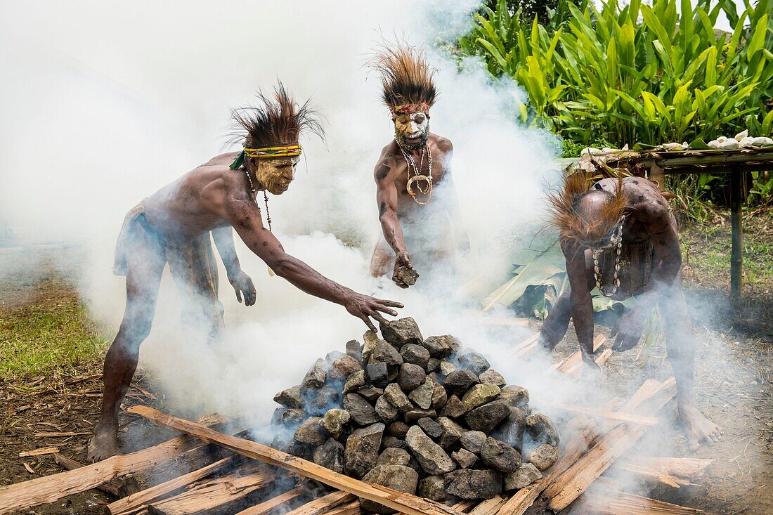 Papua-Neuguinea,Provinz Simbu,Dorf Kagaï,Vorbereitung eines traditionellen Festmahls namens Mumu,bei dem ein Schwein mit weißglühenden Steinen in eingegrabenen Bananenblättern geschmort wird