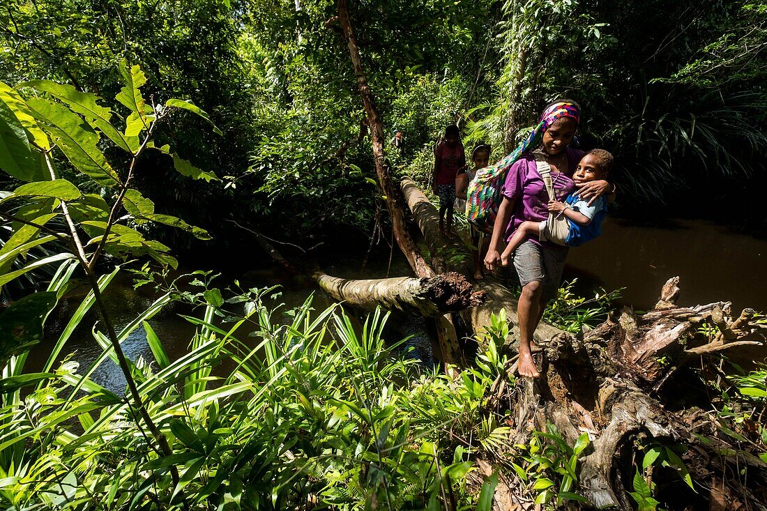 Indonesia, West Papua, Mabul, Korowai expedition