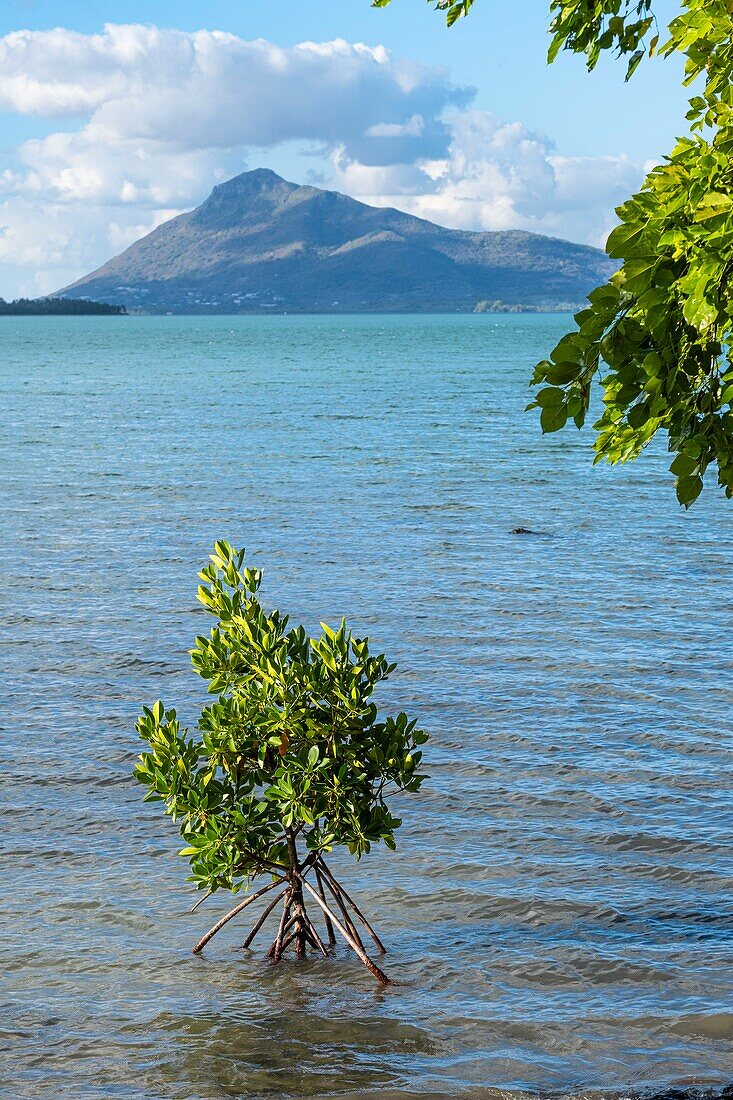 Mauritius,Bezirk Riviere Noire,Westküste von der Halbinsel Le Morne