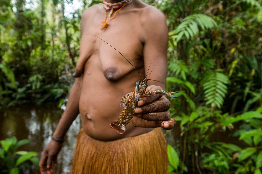 Indonesien,West Papua,Mabul,Korowai-Expedition,Herstellung von Palmkörben und Flussfischerei