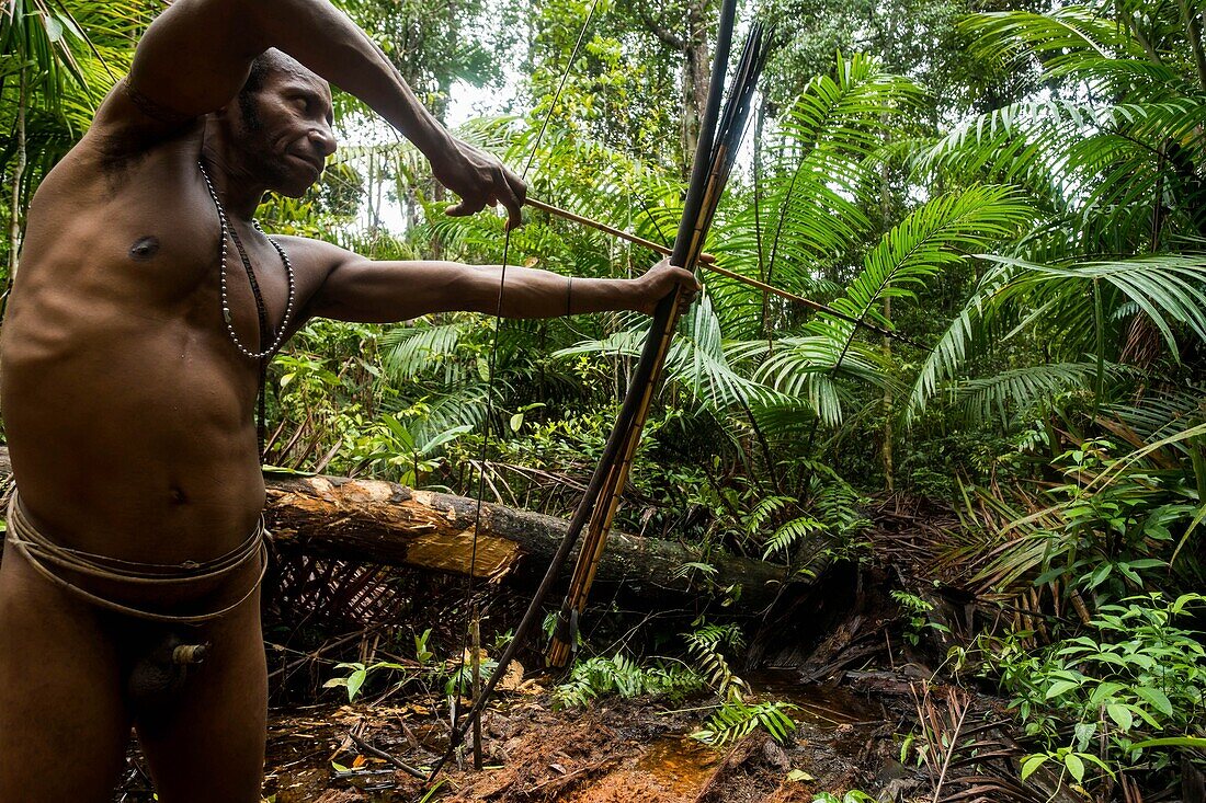 Indonesia, West Papua, Mabul, Korowai expedition