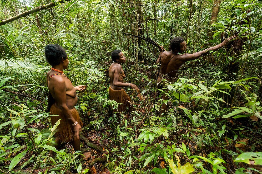 Indonesia, West Papua, Mabul, Korowai expedition