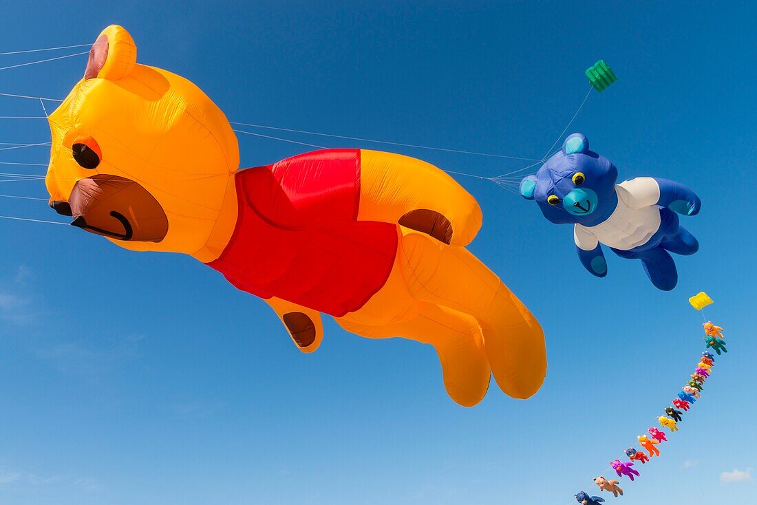 France, Somme, Baie de Somme, Cayeux-sur-mer, Festival of kites along the path of boards and beach huts