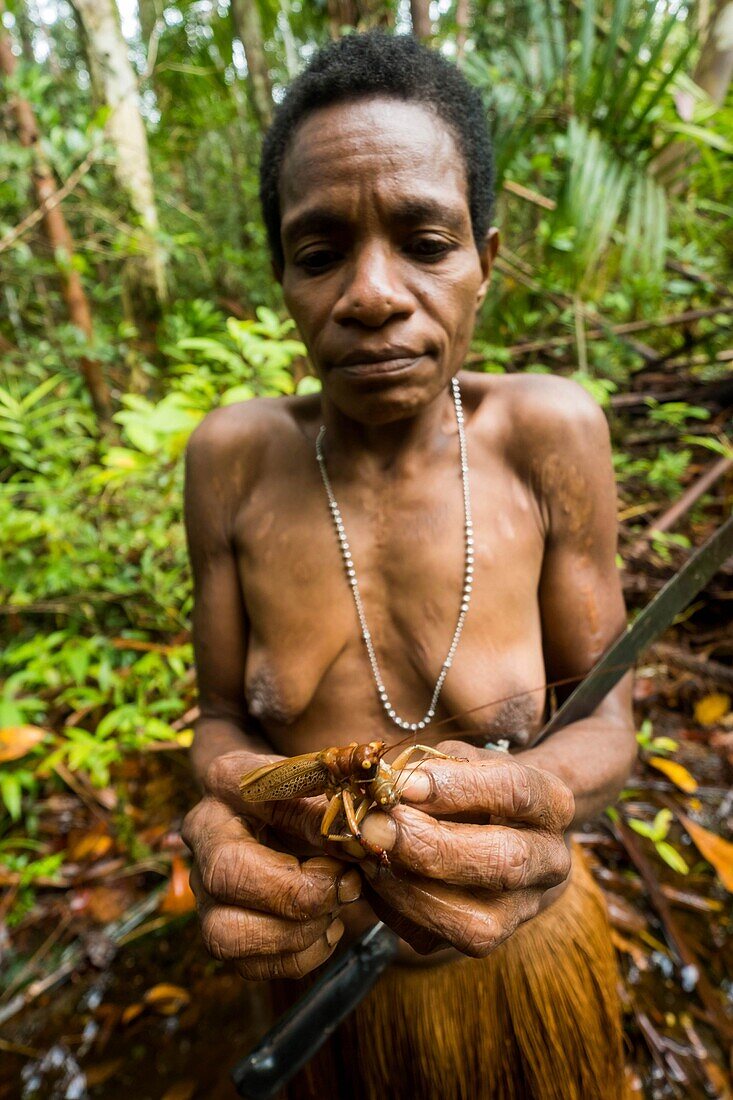 Indonesia, West Papua, Mabul, Korowai expedition