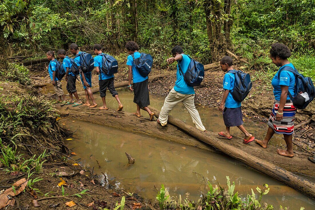 Papua-Neuguinea,Südliche Hochlandprovinz,Kutubusee,Schüler auf dem Heimweg von der Schule