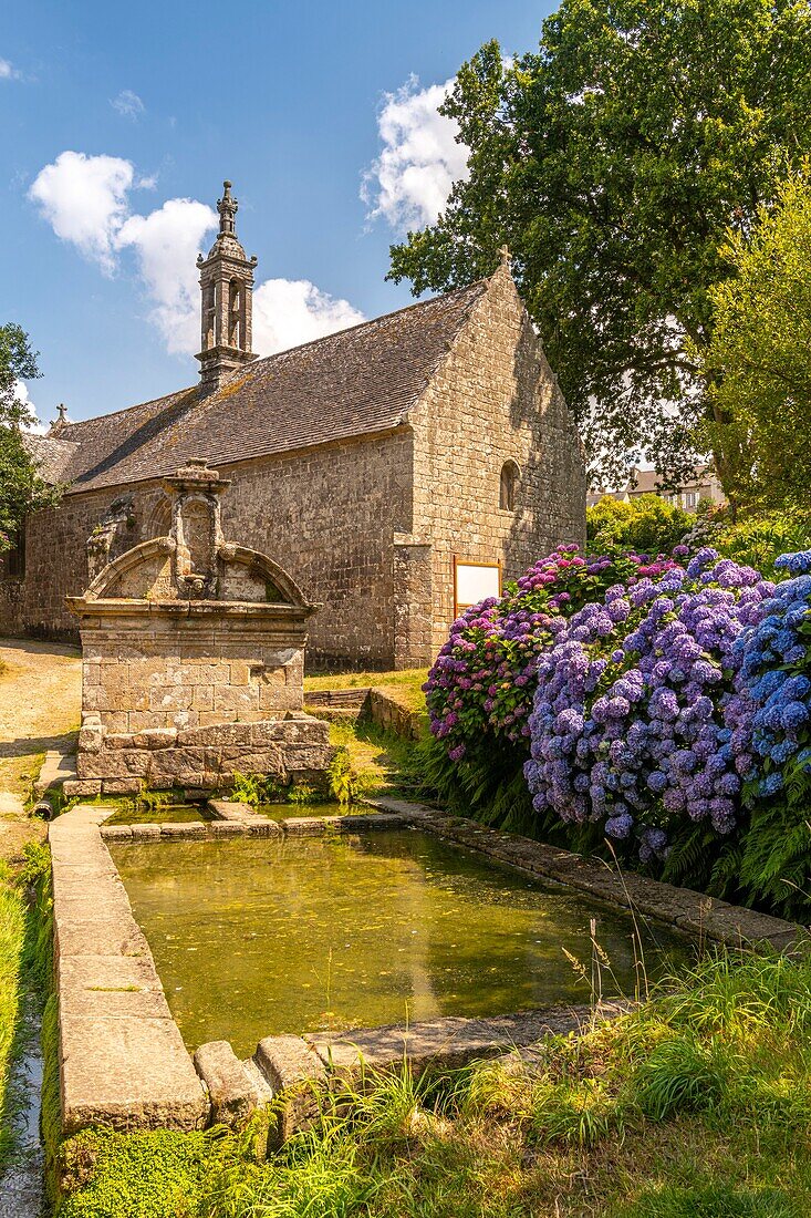 France, Finistère (29), Cornwall, Locronan, the village is ranked among the most beautiful villages in France and small towns of character, around the church the roofs of the village are works of art, the central square and the Renaissance houses are granite