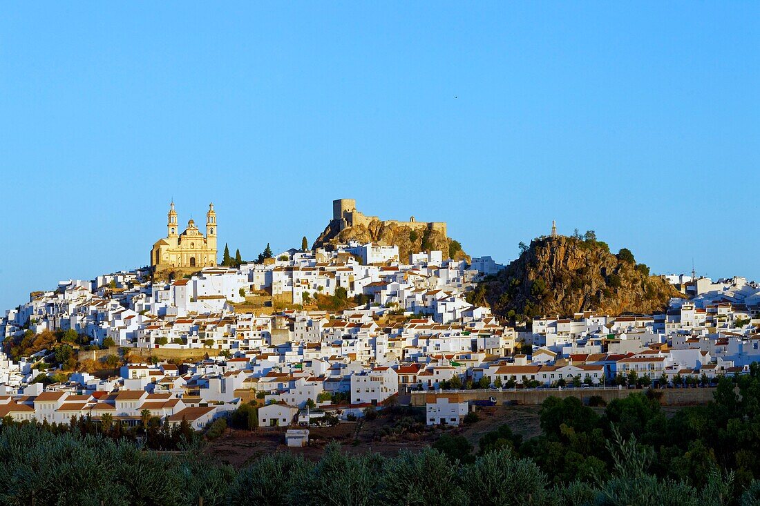 Spain, Andalucia, Cadiz province, white village of Olvera, the Church of Our Lady of the Incarnation and the Arabic fortress