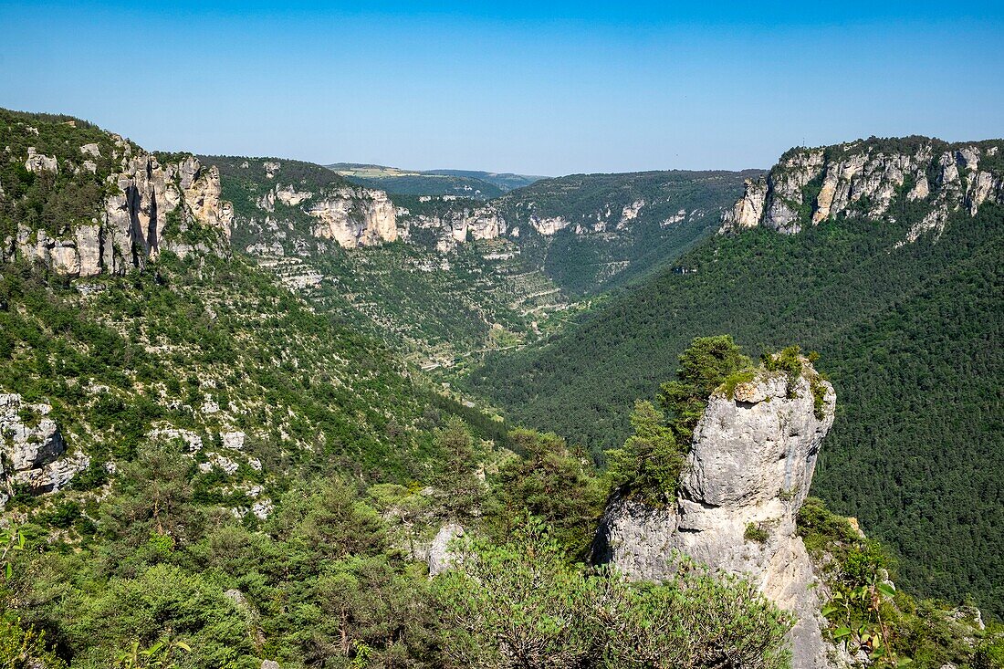 France, Cevennes national parc, Gorges de la Jonte, aerial view