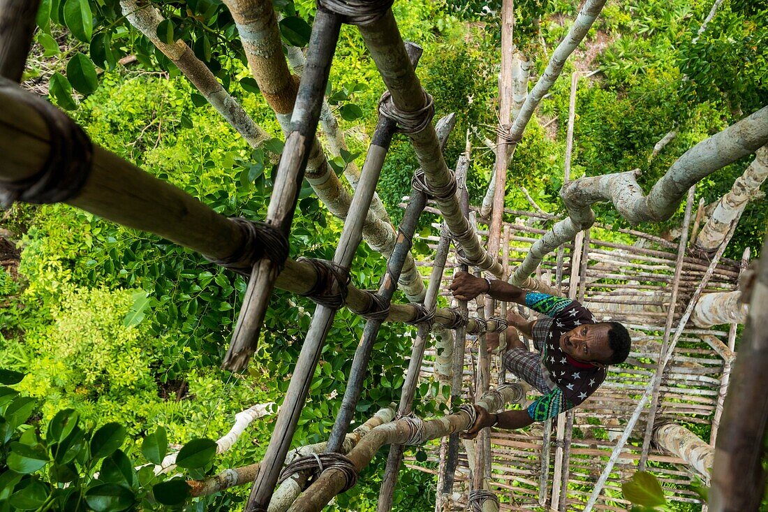 Indonesia, West Papua, Mabul, Korowai expedition