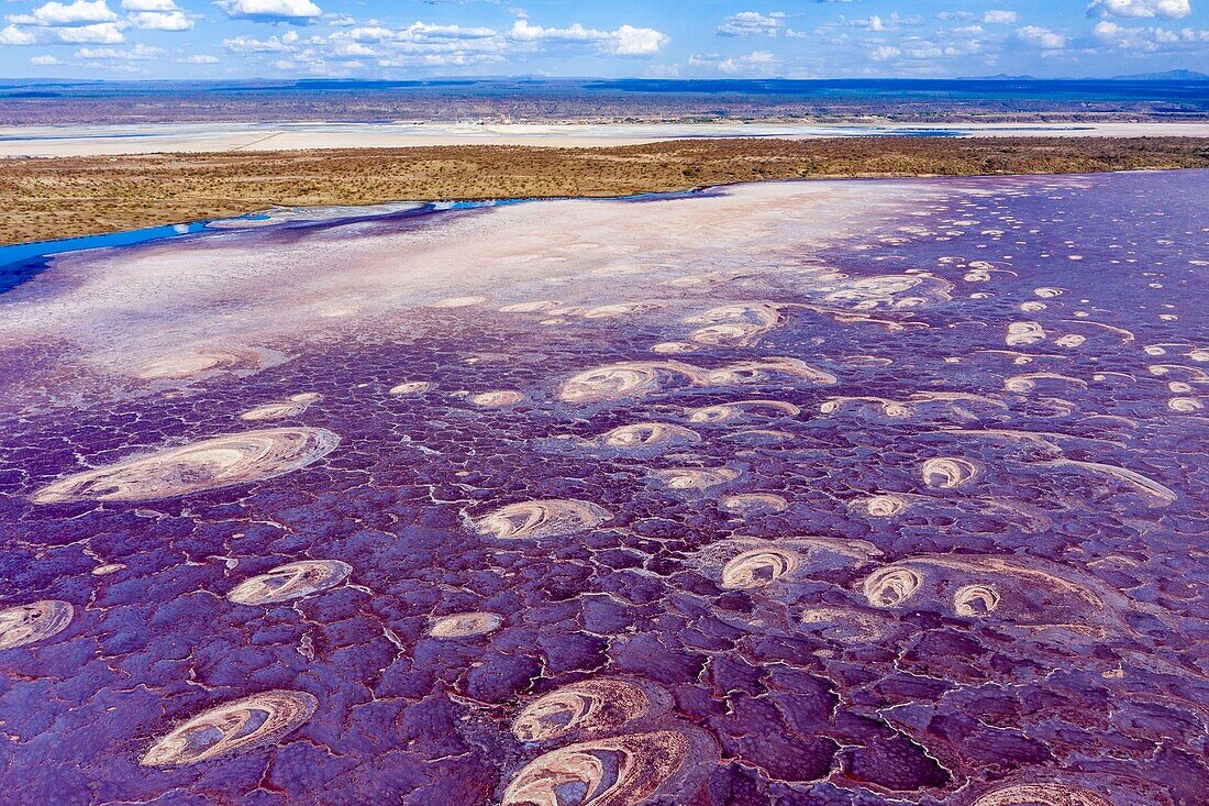 Kenia,Magadi-See,Rift Valley,Soda (Luftaufnahme)