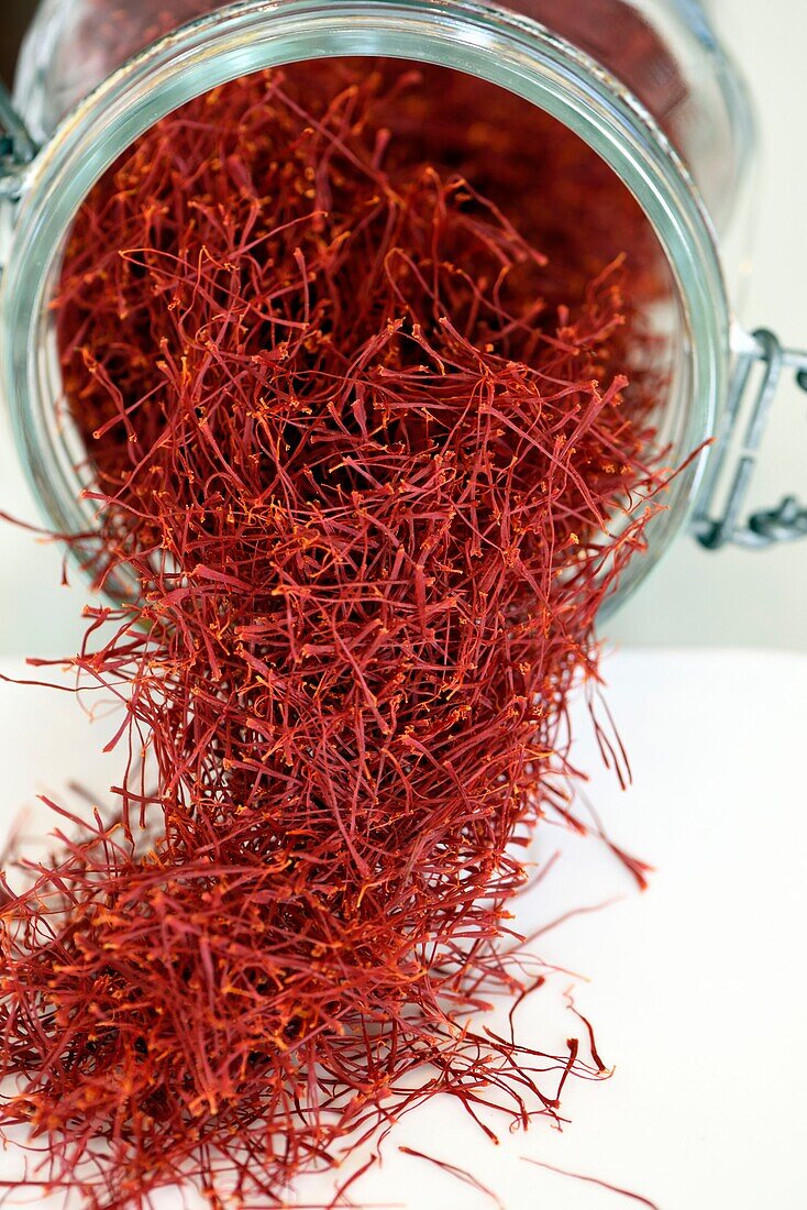 France, Territoire de Belfort, Rougegoutte, field, Crocus (Crocus sativus), at Catherine Schwalm's producer of saffron, jar of dried stigmas, saffron