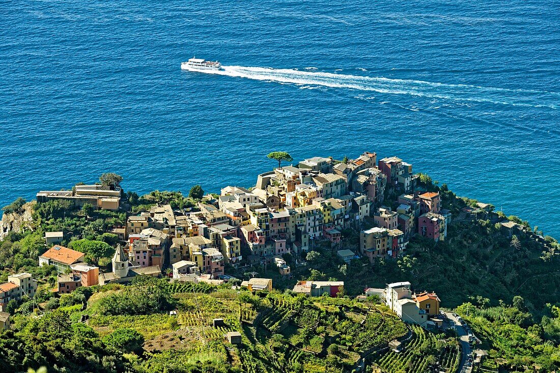 Italien,Ligurien,Provinz La Spezia,Nationalpark Cinque Terre,von der UNESCO zum Weltkulturerbe erklärt,das Dorf Corniglia