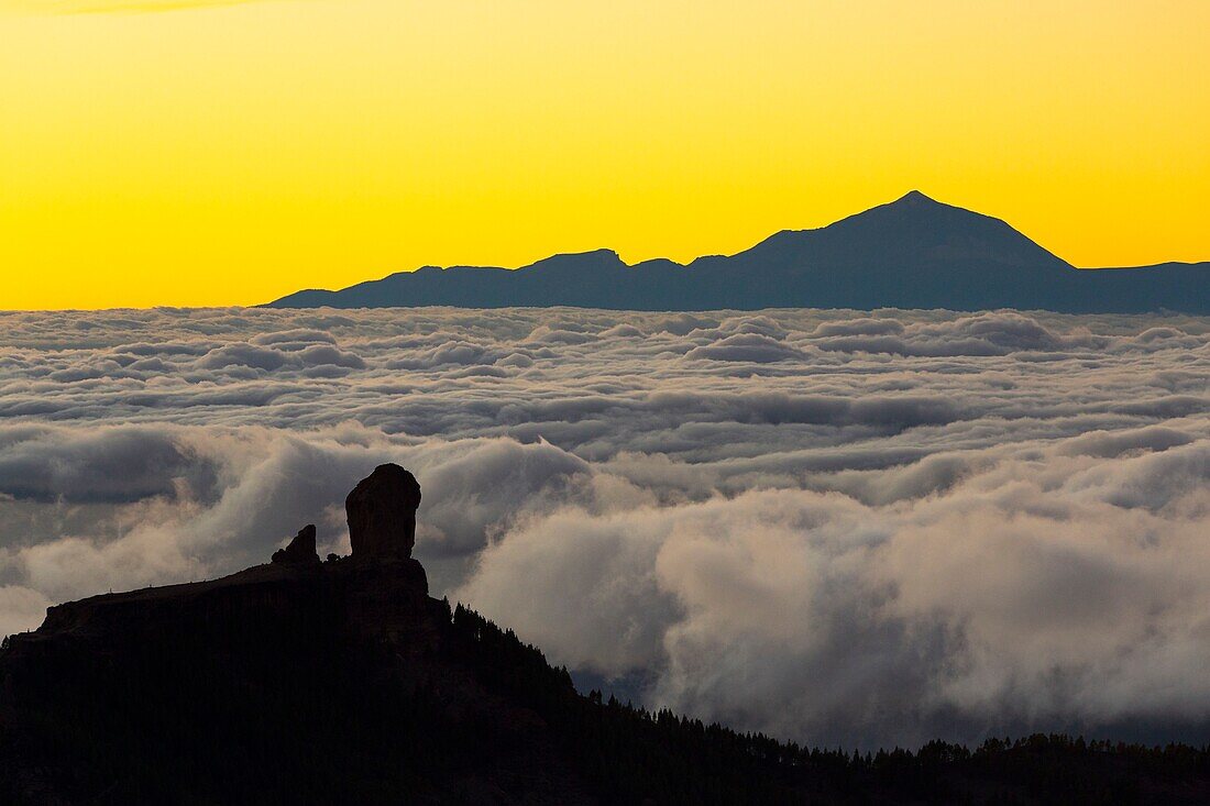 Spain, Canary Islands, Gran Canaria Island, el el Roque Nublo is a basalt monolith of 80 m high and culminating at 1813 m, in the background the summit of Teide on the island of Tenerife