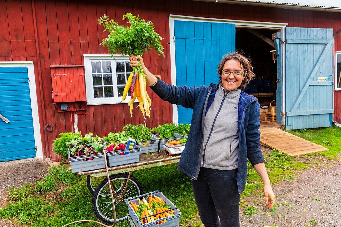 Sweden, County of Vastra Gotaland, Hokerum, Ulricehamn hamlet, Rochat family, market preparation, Sonia and the bouquet of the most beautiful carrots